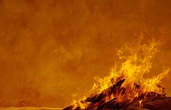 Firewall: para mejorar la seguridad de tu sitio web