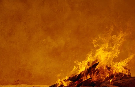 Firewall : qu’est-ce qu’un pare-feu et comment protège-t-il vos données ?