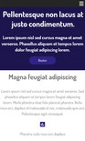Website erstellen kosten